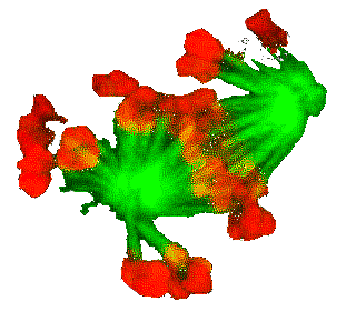 Cell dividing Image courtesy of Tom Maresca/Journal of Cell Biology/Sati