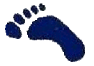 Footprint foot