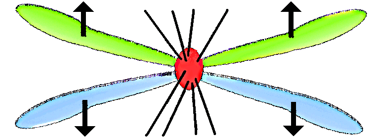 Kinetochore (red), wanting to release two chromasomes kinetochore